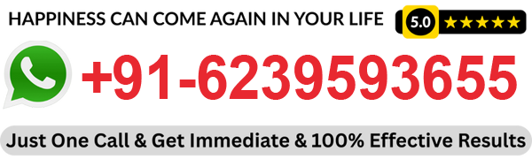 Contact Famous Pandit Anil Kumar